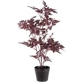 Mr Plant Silverax ruukkukasvi 75 cm