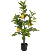 Mr Plant Sitruunapuu 90 cm