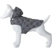 Freedog Flash Koiran Takki
