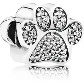 Pandora Sparkling tassunjälki hela 791714CZ