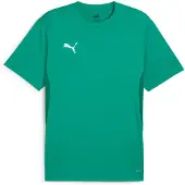Puma Treenipaita teamGOAL - Vihreä/Valkoinen, koko Large