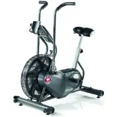 Schwinn Airdyne AD6 Air Bike
