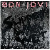 Universal Music Bon Jovi - Slippery When Wet (Digitally Remastered) (Music CD)