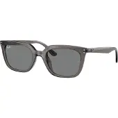 Ray-Ban - RB4439D 667587 5421