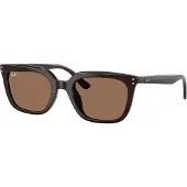 Ray-Ban - RB4439D 623173 5421