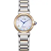 Citizen Eco-Drive Round Collection EM1136-87D