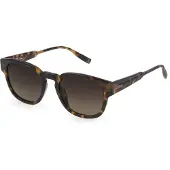 FILA SFI310V Aurinkolasit 51/21/140 Kiiltävä havana Asetaatti UNISEX SFI310V
