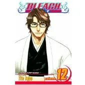 Kubo, Tite Bleach, Vol. 12