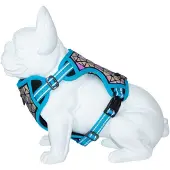 Freedog Boreal Koiran Valjaat
