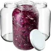 Hobby Hall 4x Jar Lasipurkki 4L Purkit kurkkutinktuureille + Korkit Fi100