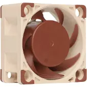 Noctua NF-A4x20 PWM, Tuuletin, 4 cm, 1200 RPM, 5000 RPM, 9,4 m³/h, Beige, Ruskea