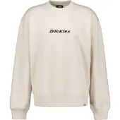 Dickies Enterprise Collegepaita