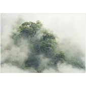 Kärkkäinen Artgeist Foggy Amazon fototapetti