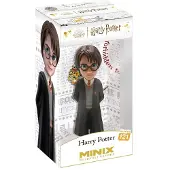 Minix Harry Potter Harry Potter Kuvio