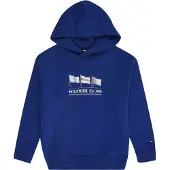 Tommy Hilfiger Waving Flag Huppari