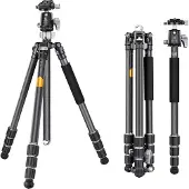 K+F K&amp;F Concept X254C4 tripod with BH-30 ball head