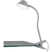 TRIO Berry LED klipsuvalaisin 26cm 3000K 3,5cm harmaa