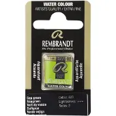 Rembrandt akvarelli 623 Sap Green - 1/2 nappi