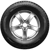 Nexen 205/65R16 C WINSPIKE LT 107/105R (124 nastaa)