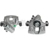 Axia Jarrusatula Axia 394799