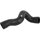 DT Spare Parts Jäähdyttimen letku 1.11623