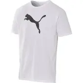 Puma T-shirt Teamrise Logo - White, koko Small
