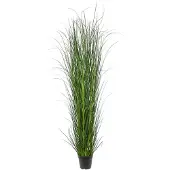 Mr Plant Ruoho 170 cm