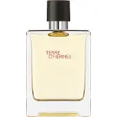 Hermès Paris Terre d'Hermès, Eau de Toilette 100ml