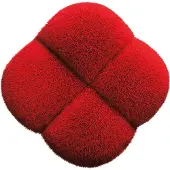 Shiseido Hanatsubaki Hake Face Brush