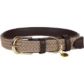 Kentucky Nylon Plaited Koiranpanta