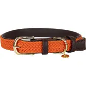 Kentucky Nylon Plaited Koiranpanta