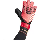 Adidas Predator Training Maalivahdin Hanskat