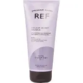 Ref Colour Boost Mask, 200ml, Cool Silver Ash