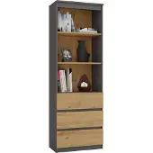 Topeshop Toimiston kirjahylly Regal RS60, antrasiitti/käsitelty tammi