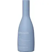 Björn Axen Repair Shampoo 250 ml