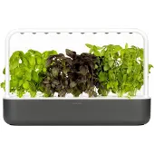 Click & Grow Smart Garden 9 Starter kit Dark Gray