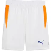 Puma Individual Training Shortsit