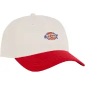 Dickies Hardwick Two Tone Lippis