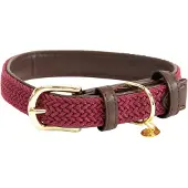Kentucky Nylon Plaited Koiranpanta