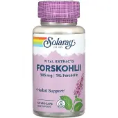 Solaray , Vital Extracts, Forskohlii, 385 mg, 60 VegCaps