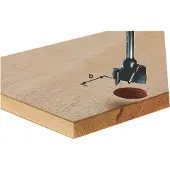 Festool Helaporanterä HW S8 D30