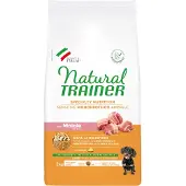 NATURAL TRAINER 2kg Sensitive No Gluten Adult Small with Pig Trainer Natural Dry Dog Food -kuivaruoka