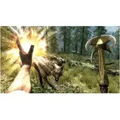 The Elder Scrolls Online Collection: Blackwood Collector's Edition
