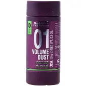 Salerm Volume Dust Matifying 10g Muotoilupuuteri