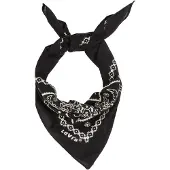 Levis Accessories Paisley Huivi