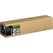 Epson Fine Art Cotton Textured Natural 24" x 15m