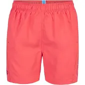Arena Surffishortsit sininen / lohi