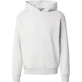 Alpha industries Collegepaita 'Studio Edition' harmaa
