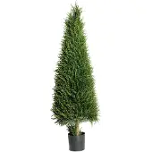 Mr Plant , Kuusipuu 140 cm