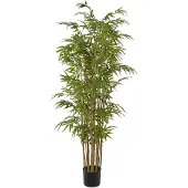 Mr Plant Bambu 180 cm